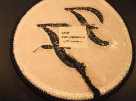 Foo Fighters Amerikaanse rockband , badge (2)